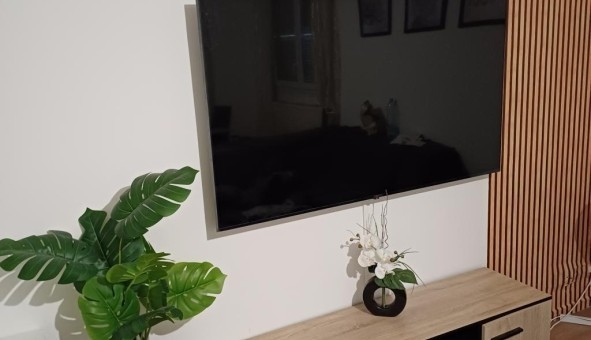 Logement tudiant Colocation à Villeurbanne (69100)