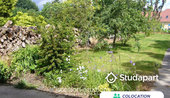 Colocation étudiante Duplex à Dammarie les Lys (77190)