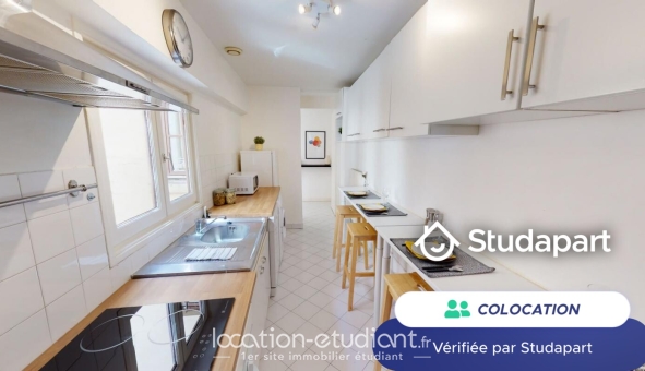 Colocation tudiante Duplex à Lyon 2me arrondissement (69002)