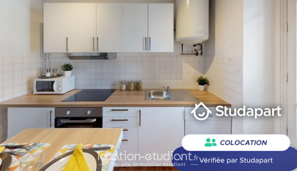 Colocation tudiante Duplex à Lyon 2me arrondissement (69002)