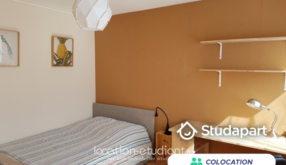 Colocation �tudiante Duplex &agrave; Strasbourg (67000)