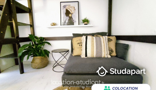 Colocation tudiante Duplex à Villeurbanne (69100)