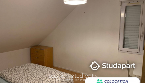 Colocation �tudiante Studio &agrave; Amboise (37400)
