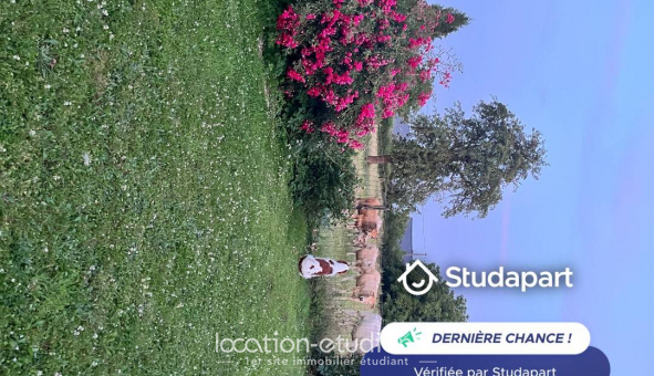 Colocation tudiante Studio à Amfroipret (59144)