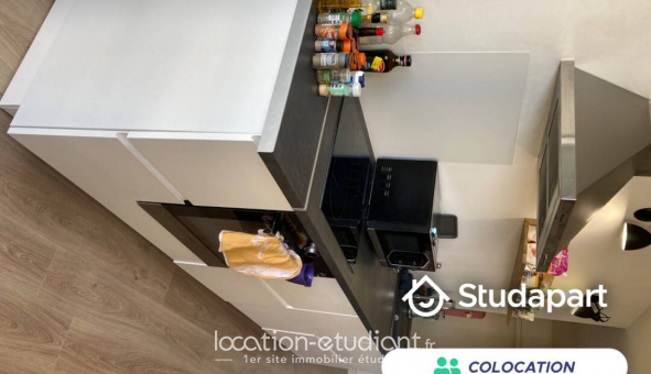 Colocation tudiante Studio à Angers (49000)
