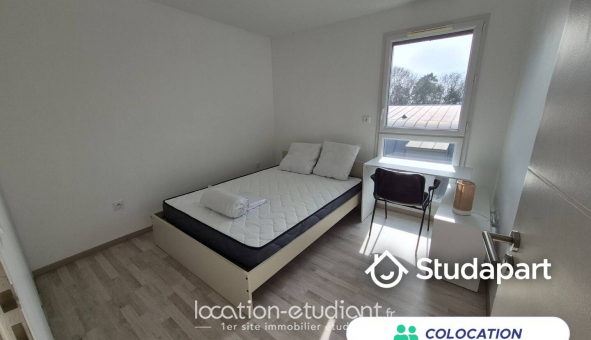 Colocation tudiante Studio à Angers (49000)