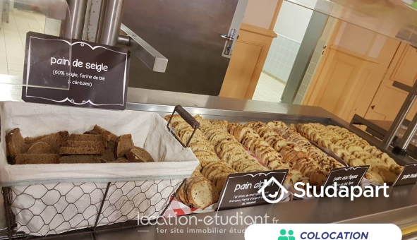 Colocation tudiante Studio à Angers (49000)