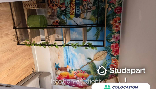 Colocation tudiante Studio à Angers (49000)