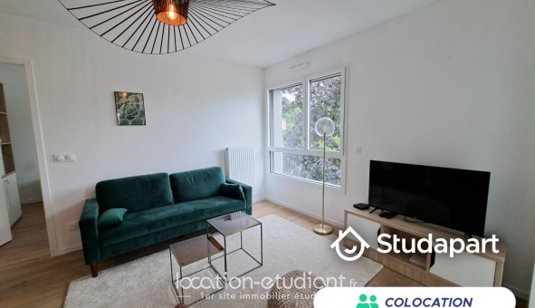 Colocation tudiante Studio à Angers (49000)