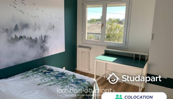 Colocation tudiante Studio à Angers (49000)