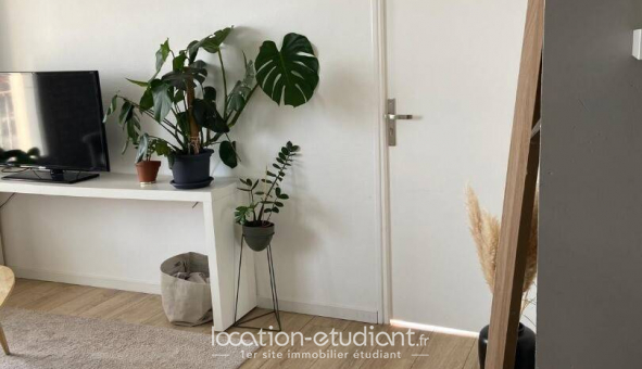 Colocation �tudiante Studio &agrave; Angers (49000)