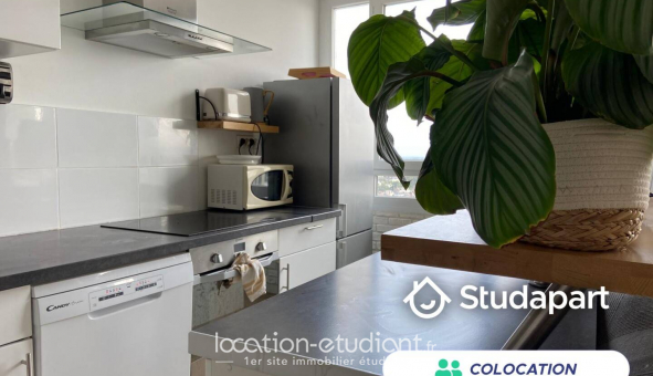 Colocation �tudiante Studio &agrave; Angers (49000)