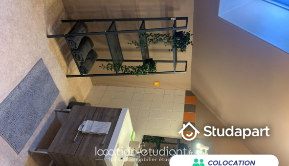 Colocation tudiante T4 à Angers (49000)