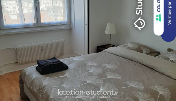 Colocation tudiante Studio à Annemasse (74100)