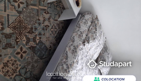 Colocation tudiante Studio à Annemasse (74100)