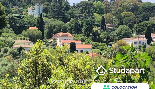 Colocation tudiante Studio à Antibes (06160)