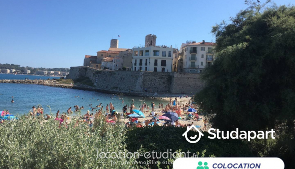Colocation étudiante Studio à Antibes (06160)