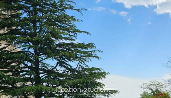 Colocation �tudiante Studio &agrave; Antibes (06160)