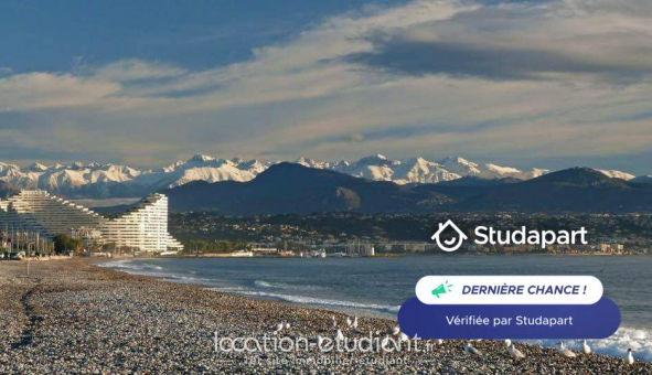 Colocation tudiante Studio à Antibes (06160)