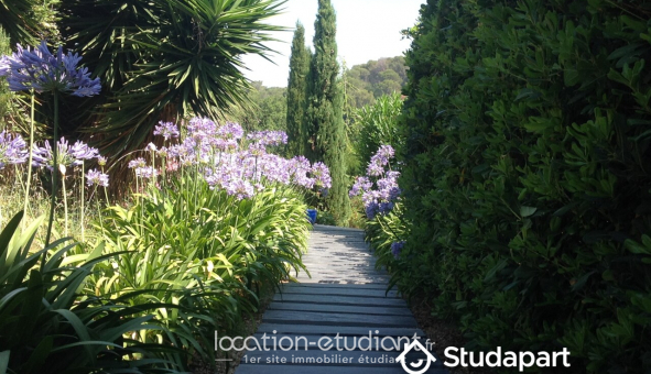 Colocation tudiante Studio à Antibes (06160)