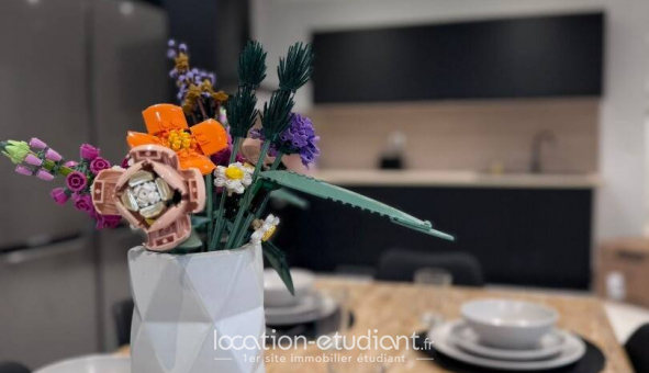 Colocation tudiante Studio à Anzin (59410)