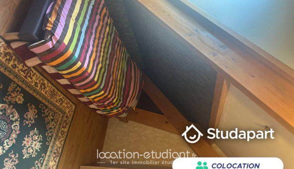 Colocation �tudiante Studio &agrave; Argenteuil (95100)