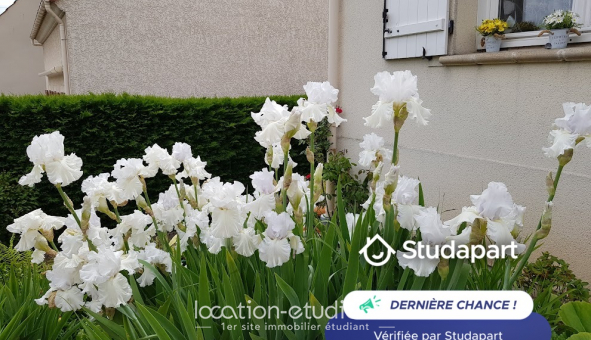 Colocation tudiante Duplex à Argenteuil (95100)
