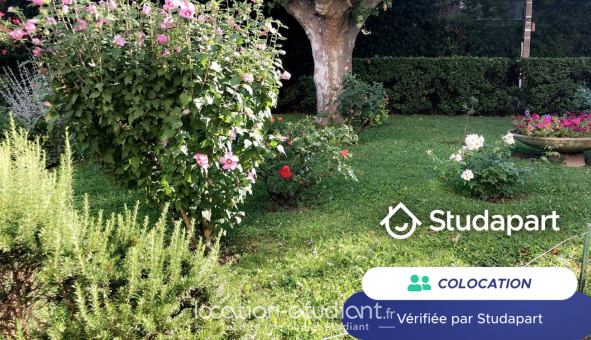 Colocation tudiante Studio à Avignon (84000)