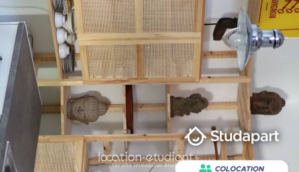 Colocation tudiante Studio à Avignon (84000)