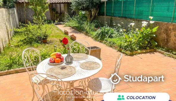 Colocation tudiante Studio à Avignon (84000)