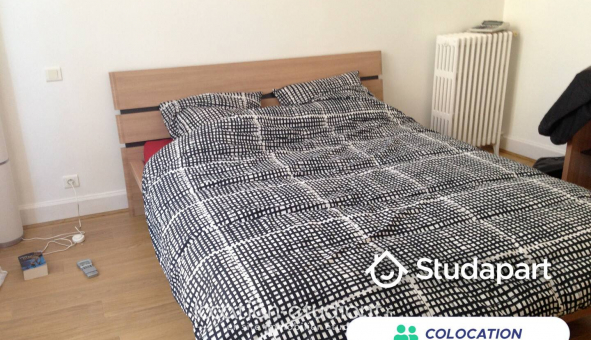 Colocation tudiante Studio à Avignon (84000)