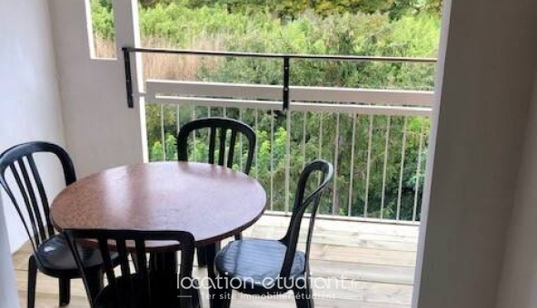 Colocation �tudiante Studio &agrave; Avignon (84000)