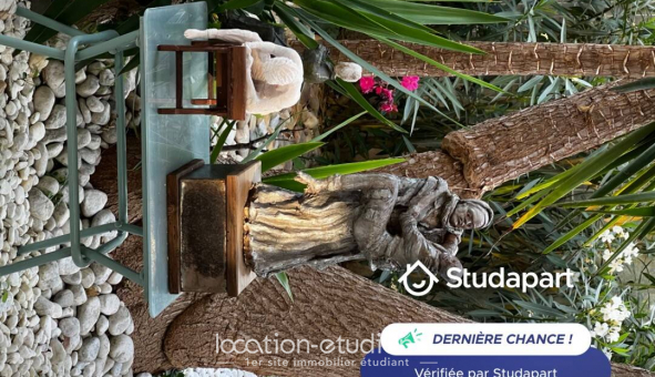 Colocation �tudiante Studio &agrave; Avignon (84000)