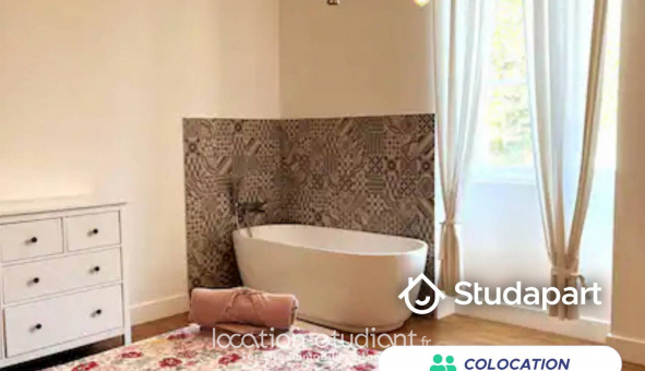 Colocation �tudiante Studio &agrave; Avignon (84000)