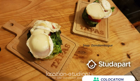 Colocation étudiante Studio à Béziers (34500)