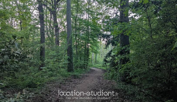Colocation étudiante Studio à Bièvres (91570)