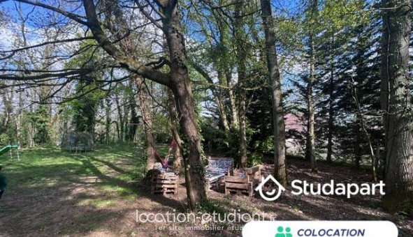 Colocation étudiante Studio à Bièvres (91570)