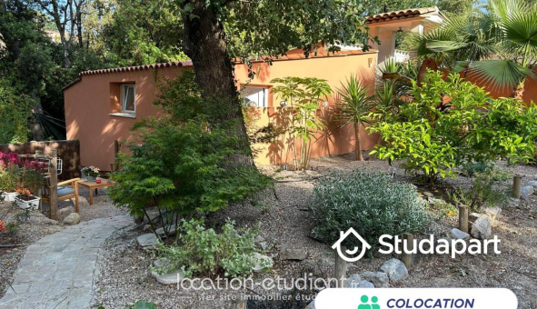 Colocation tudiante Studio à Biot (06410)