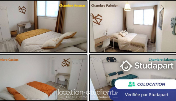 Colocation tudiante Chambre dans une colocation de 11m2