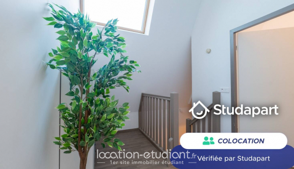 Colocation étudiante Studio à Bordeaux (33300)