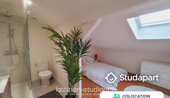 Colocation �tudiante Studio &agrave; Bordeaux (33300)