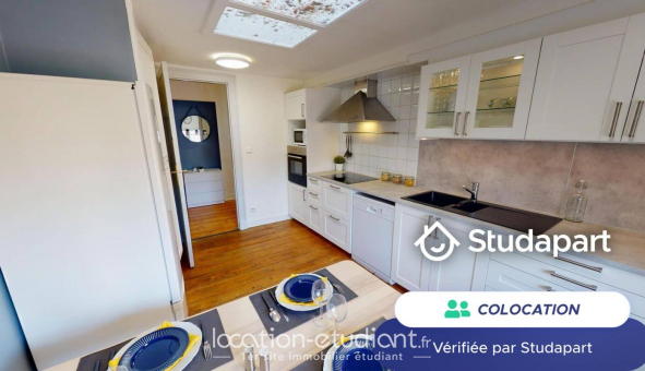 Colocation tudiante Colocation à Bordeaux (33300)