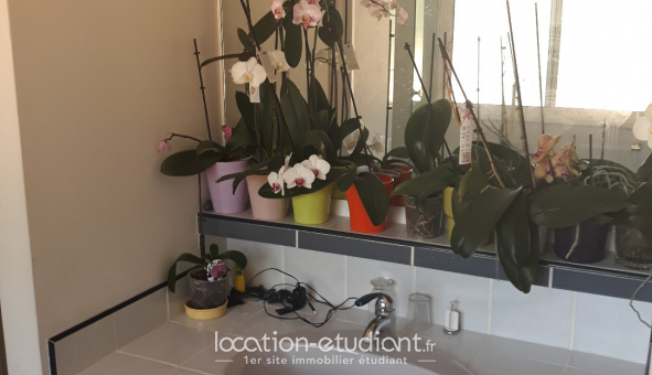 Colocation tudiante Studio à Bouc Bel Air (13320)