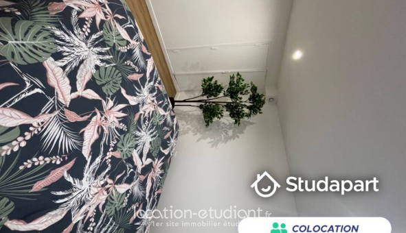 Colocation tudiante Studio à Caen (14000)