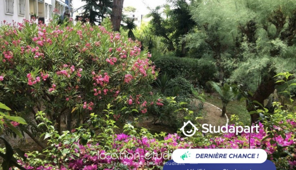 Colocation tudiante Studio à Cannes (06400)
