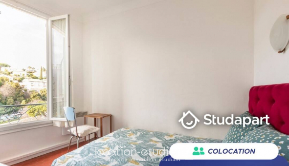 Colocation tudiante Studio à Cannes (06400)