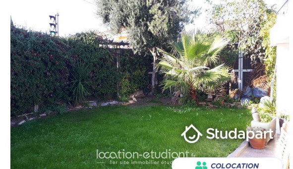 Colocation tudiante Studio à Cannes (06400)