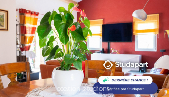 Colocation tudiante Studio à Carqueiranne (83320)