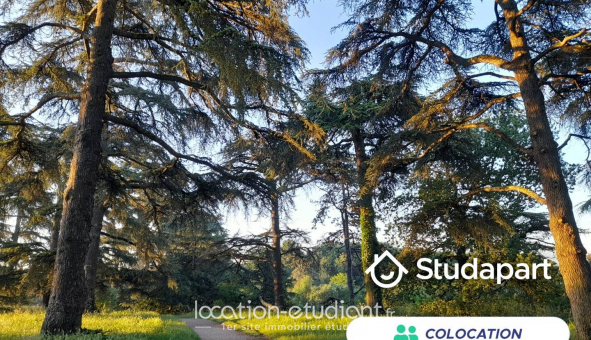 Colocation tudiante Studio à Cenon (33150)