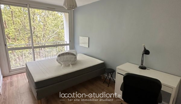 Colocation étudiante Studio à Cergy (95000)